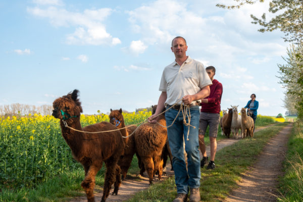 Alpaka-Wanderung  04.05.2025 10:30